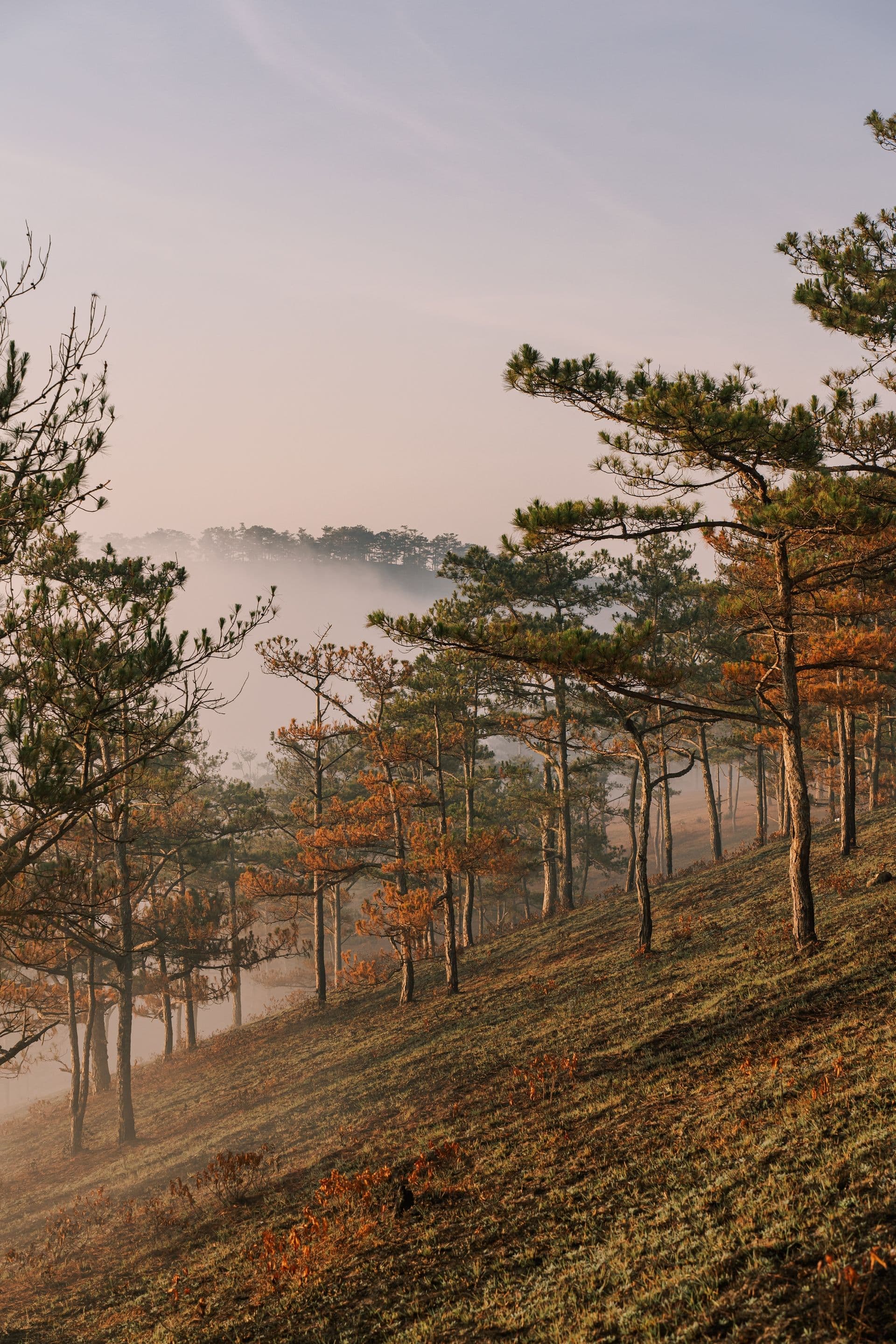 Da Lat